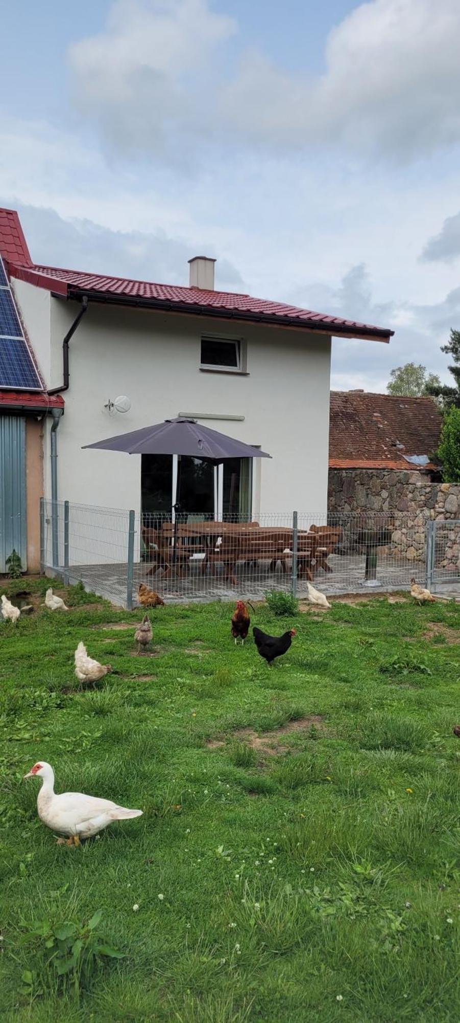 Bladkowo 20a, Dom 11 Miejsc * Dobra (Lobez)